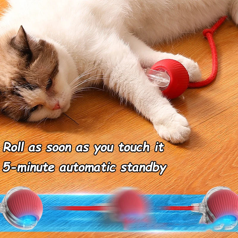 Rechargeable Smart Interactive Rolling Ball for Cats | Automatic Mouse Imitation Toy with Faux Tail
